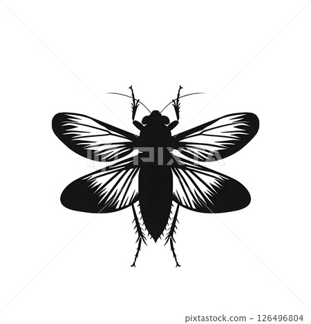 Elegant Black and White Insect Silhouette: A Detailed Vector Graphic of a Cockroach with Spread Wings 126496804