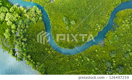 winding river in jungle, tropical landscape aerial view 126497259