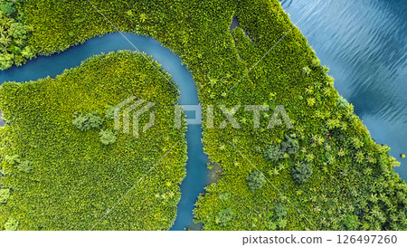 winding river in jungle, tropical landscape aerial view 126497260