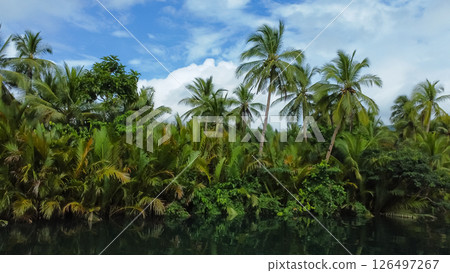 tropical river in jungle with palm trees on the shore against sky 126497267