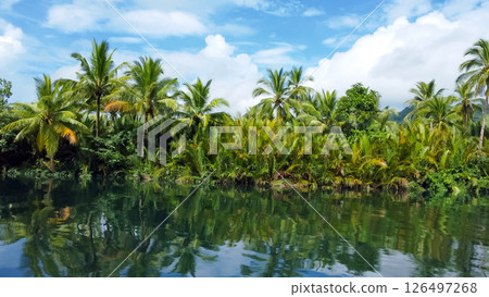 tropical river in jungle with palm trees on the shore against sky tropical river in jungle with palm trees on the shore against sky 126497268