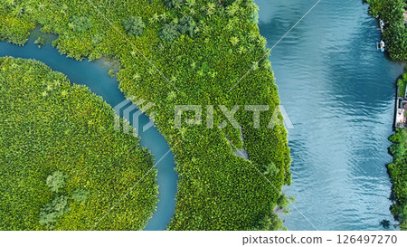 Filipino fishing boat sailing on river in jungle, tropical landscape Filipino fishing boat sailing on river in jungle, tropical landscape 126497270
