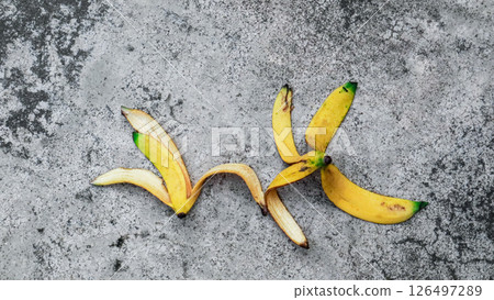 Ripe yellow banana peels on the garden floor, Concept of recycling, safety, agricultural education. 126497289