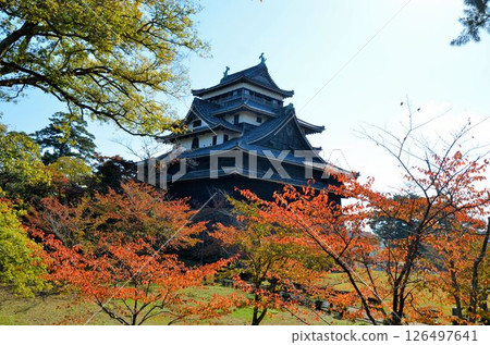 Matsue castle castle tower Matsue castle castle tower 126497641