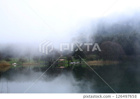 forest outside the city in turkey. Golcuk, Bolu. 126497658