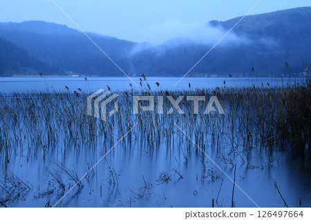 Forest outside the city in turkey. Abant, Bolu, Turkey. 126497664
