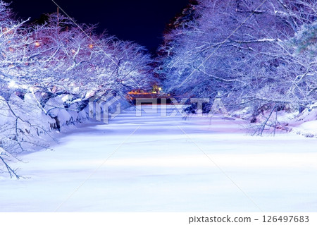 Hirosaki Castle Snow Festival Hirosaki Castle Snow Festival 126497683