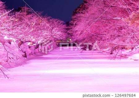 Hirosaki Castle Snow Festival Hirosaki Castle Snow Festival 126497684