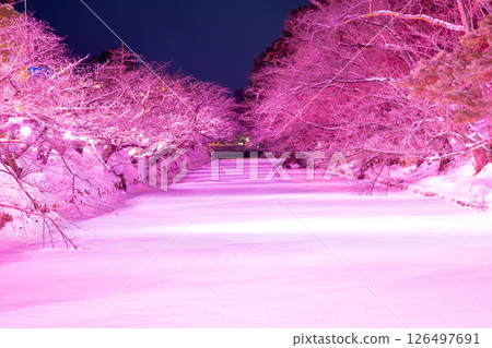 弘前城冰雪節 弘前城冰雪節 126497691