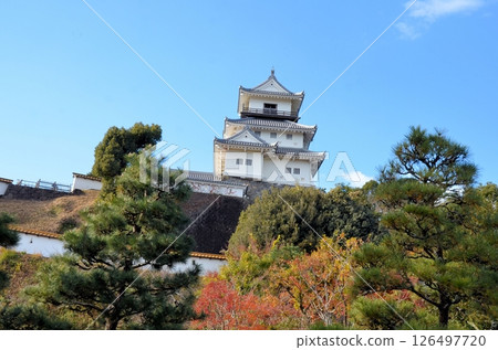 Kakegawa Castle Keep 126497720