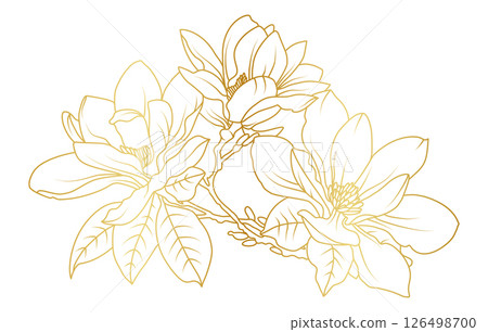 Golden magnolia flowers line art isolated on white background. Luxury magnolia floral design elements for invitation, wedding, wallpaper, print template, vector illustration 126498700