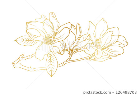 Golden magnolia flowers line art isolated on white background. Luxury magnolia floral design elements for invitation, wedding, wallpaper, print template, vector illustration Golden magnolia flowers line art isolated on white background. Luxury magnolia floral design elements for invitation, wedding, wallpaper, print template, vector illustration 126498708