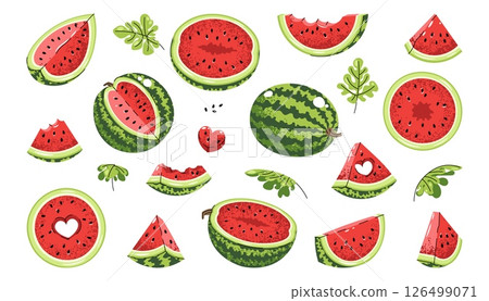 Watermelon Icon Set Flat Illustrations of Whole Fruit and Slices on White Background. Minimalist Design for Stickers, Logos, Summer Graphics, Food Packaging, Social Media and Digital Projects 126499071