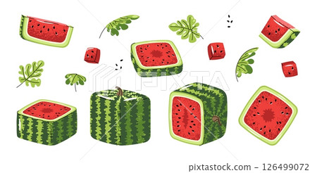 Square Watermelon Icon Set Flat Illustrations of Whole Fruit and Slices on White Background. Minimalist Design for Stickers, Logos, Summer Graphics, Food Packaging, Social Media and Digital Projects 126499072