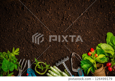Garden tools and plants 126499179