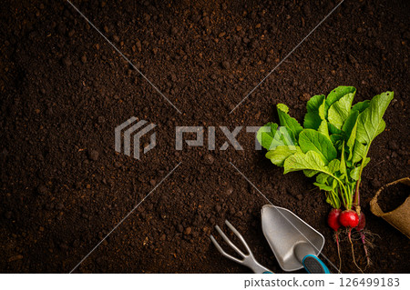 Garden tools and plants 126499183