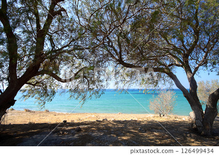 A small seaside town Turgutreis 126499434