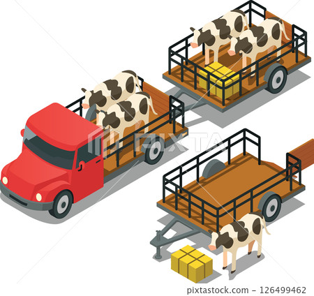 Isometric farm truck trailer carrying dairy livestock 126499462