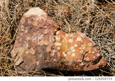 Stone with natural colors. 126499733