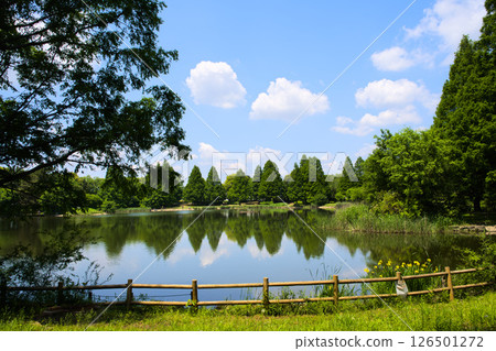 埼玉縣北勝飾區松志町松志綜合公園 126501272