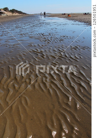 海邊 海邊 126501951