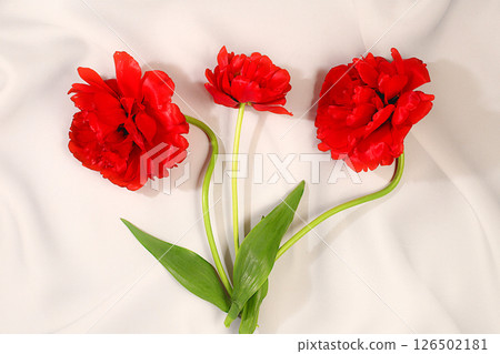 Abstract flower arrangement,Beautiful spring peony tulips on light background,flyer. still life and template for design,floral holiday card and summer greeting concept,selective focus. 126502181