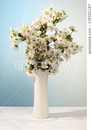 Beautiful spring blooming cherry branches in vase on light background,Abstract flower arrangement flyer. still life and template for design,floral holiday card and summer greeting concept. Beautiful spring blooming cherry branches in vase on light background,Abstract flower arrangement flyer. still life and template for design,floral holiday card and summer greeting concept. 126502187