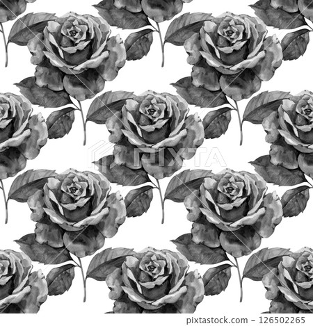 Beautiful monochrome, black and white seamless background with gray roses with stem and leaves. Hand-drawn with effect of drawing in watercolor 126502265