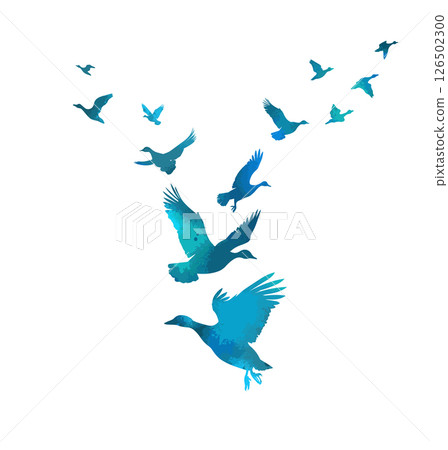 A flock of blue ducks flying. hand drawing. Not AI. Vector illustration A flock of blue ducks flying. hand drawing. Not AI. Vector illustration 126502300