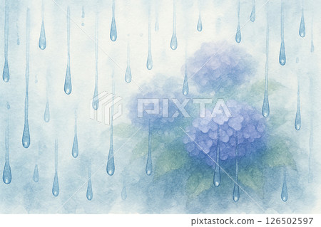Watercolor illustration of hydrangea and raindrops (rainy season scene) 126502597