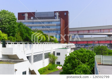 Around Kosuge Nishi Park, Katsushika Ward, Tokyo May 2025 126502799