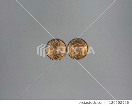 Front and Back of U.S. One Cent Penny Coins on Neutral Background 126502956