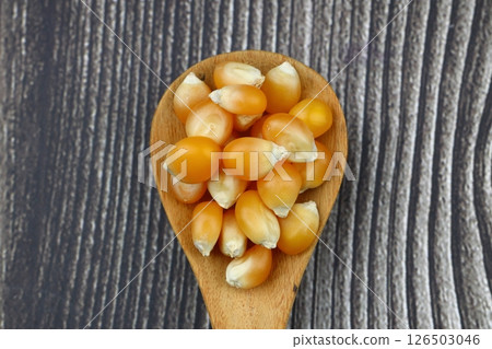 Corn seeds for popcorn isolated on dark rustic background. Copy space Corn seeds for popcorn isolated on dark rustic background. Copy space 126503046
