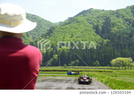 An old man watching over rice planting An old man watching over rice planting 126503104