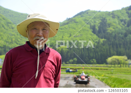 一位老人在看管水稻插秧 一位老人在看管水稻插秧 126503105