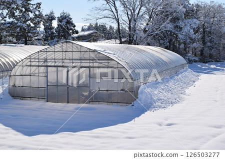 Vinyl greenhouse in heavy snowfall region 126503277