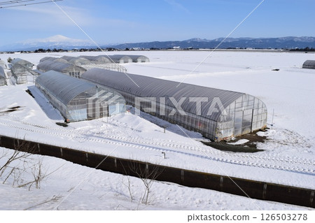 Vinyl greenhouse in heavy snowfall region 126503278