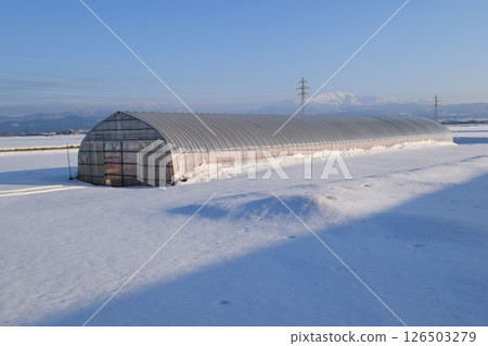 大雪地區乙烯基溫室 大雪地區乙烯基溫室 126503279