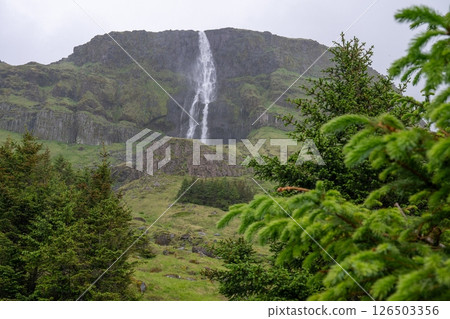 Tall waterfall cascading down rocky green cliff in lush forest landscape view in Iceland 126503356