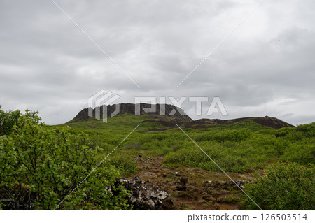 view of the big old crater eldborg in iceland in summer 126503514
