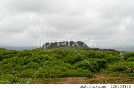 view of the big old crater eldborg in iceland in summer view of the big old crater eldborg in iceland in summer 126503550