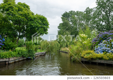 Landscape view of famous Giethoorn village in Netherlands with canals, trees and plants Landscape view of famous Giethoorn village in Netherlands with canals, trees and plants 126503603