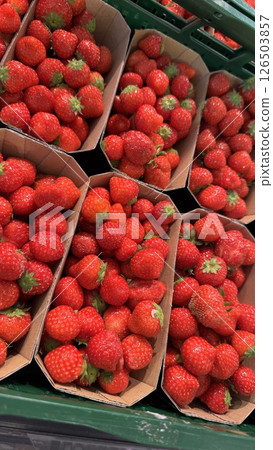 Fresh Ripe Strawberries in Eco-Friendly Cardboard Packaging Arranged for Display Fresh Ripe Strawberries in Eco-Friendly Cardboard Packaging Arranged for Display 126503857