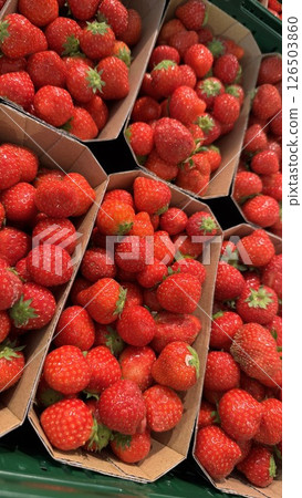 Fresh Strawberries in Carton Trays at a Market Display Fresh Strawberries in Carton Trays at a Market Display 126503860