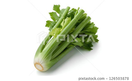 Fresh green celery stalks mockup isolated on white background, for diet, nutrition, or healthy lifestyle product branding.  126503878
