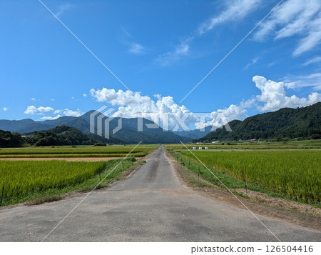 與藍天的風景 126504416