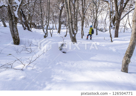 穿著雪鞋在森林裡享受新雪的景象 大山木澤溪流 126504771
