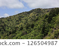 Spring mountains: fresh greenery 126504987