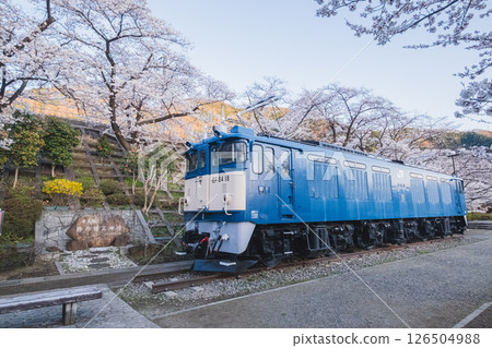 Katsunuma Grape Village Station Park 126504988