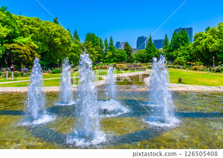 靱公園的噴泉與玫瑰園 靱公園的噴泉與玫瑰園 126505408
